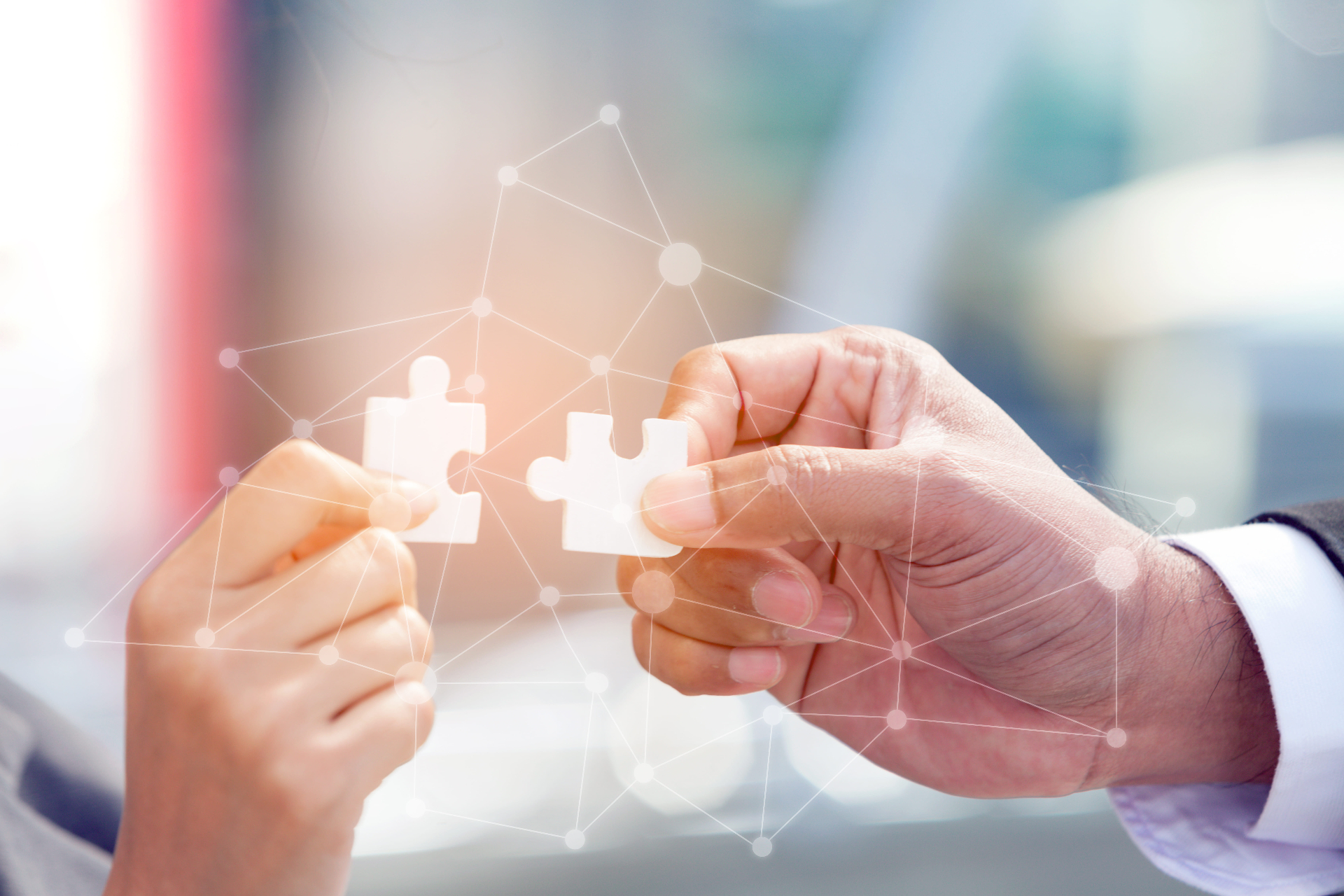 Equipo profesional colaborando en soluciones de seguros a la medida